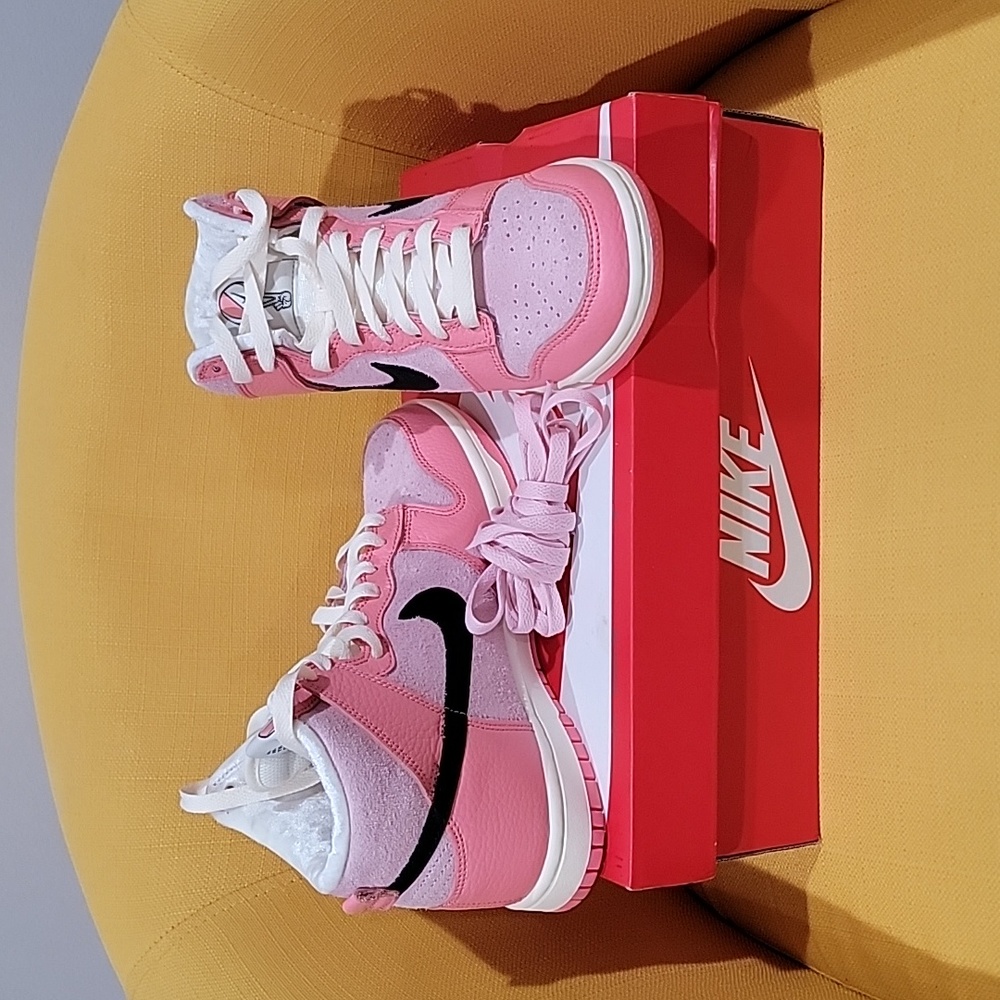 Nike Dunk high Firm